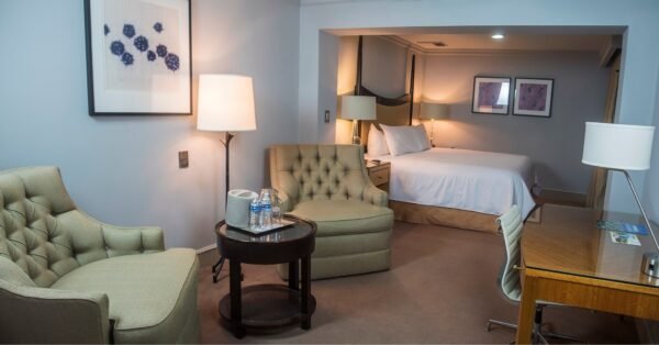 356365086 726860309449675 7923072113261855263 N