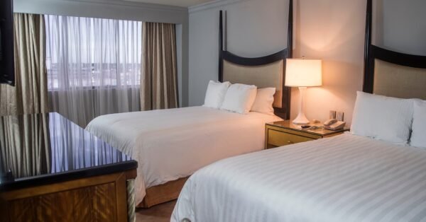 356911820 726860596116313 185133079734123807 N