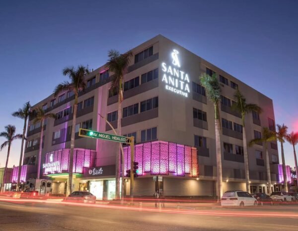 419846638 869224775213227 4424784585079285765 N